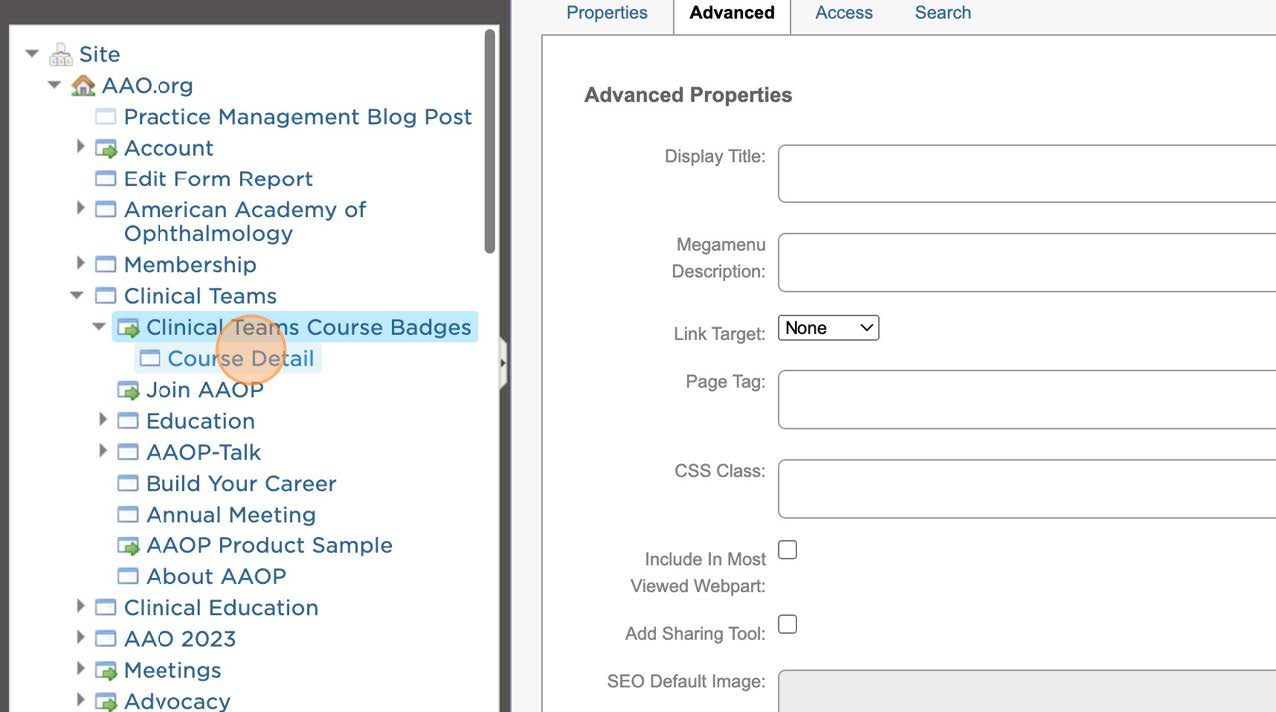 20-AAO Learning Badges Training