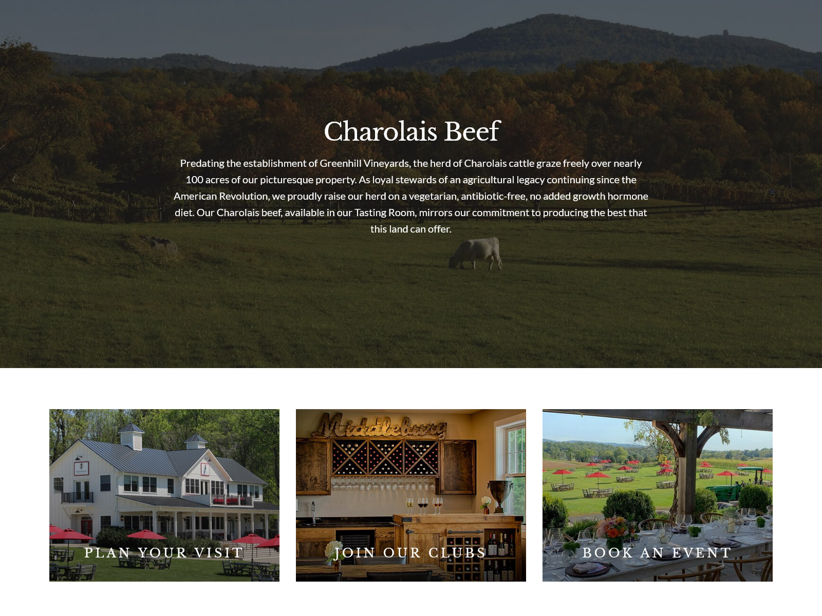 Greenhill Vineyard